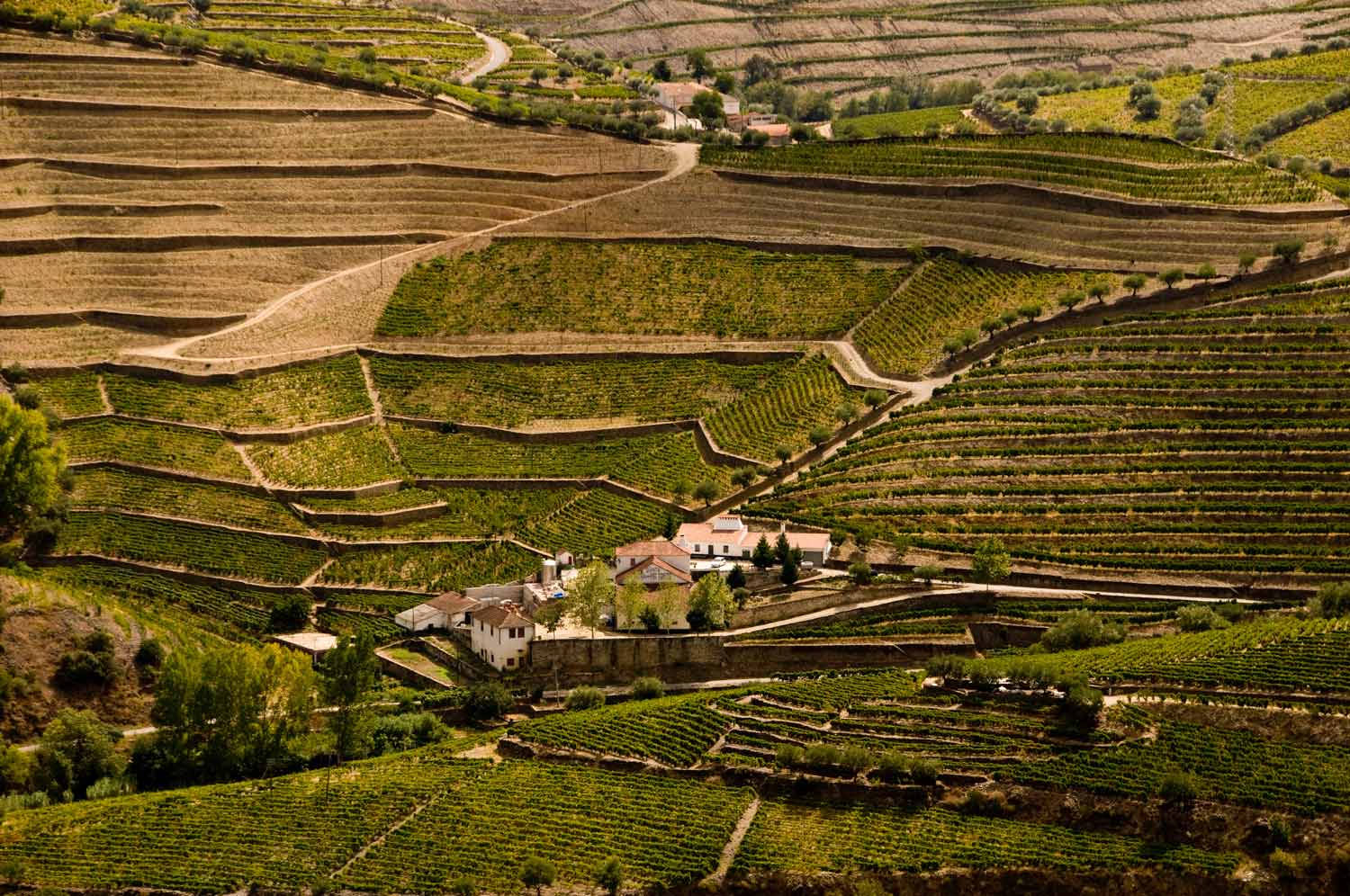 [Image: Near-Pinhao-Portugal-_DSC1581-12-09-08.jpg]