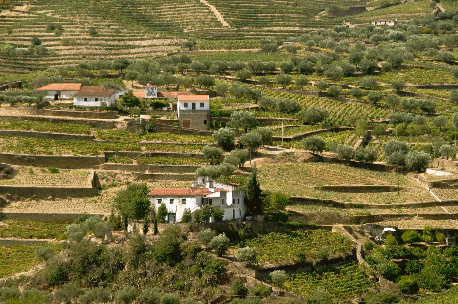 [Image: Near-Pinhao-Portugal-_DSC1617-12-09-08.jpg]