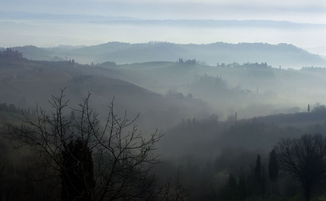 [Image: P1010860foggylandscblue.jpg]