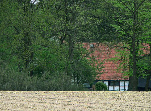 [Image: P1060278windowmergedfilterl.jpg]