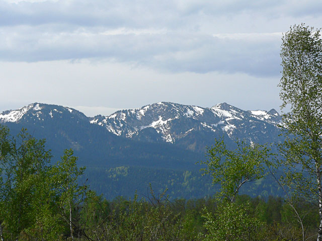 [Image: P1070554mountains.jpg]