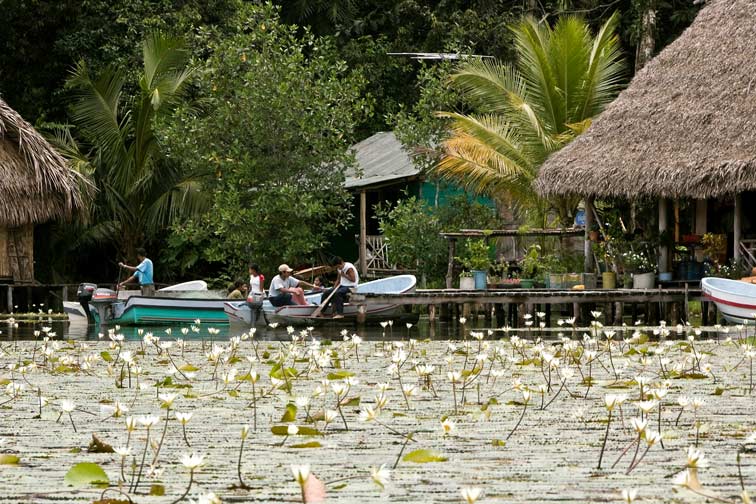 [Image: Rio-Dulce_0580-Edit_pt_s_250K.jpg]