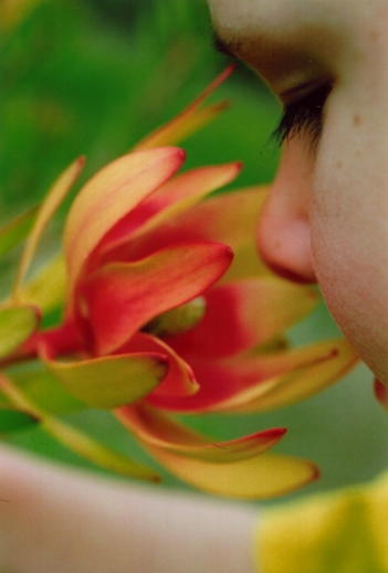 [Image: Sense%20of%20smell.jpg]