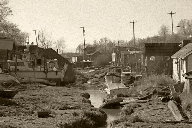 [Image: Steveston-067-web%20merged.jpg]