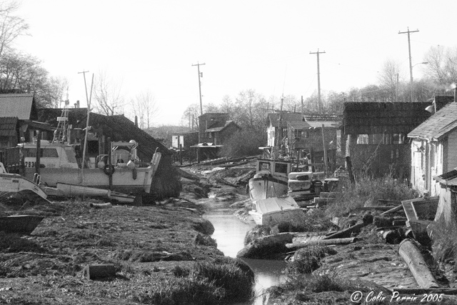 [Image: Steveston-067.jpg]