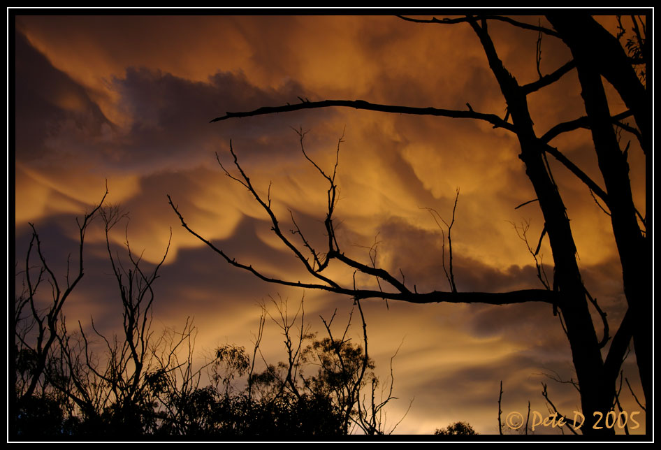 [Image: Stormy-3.jpg]