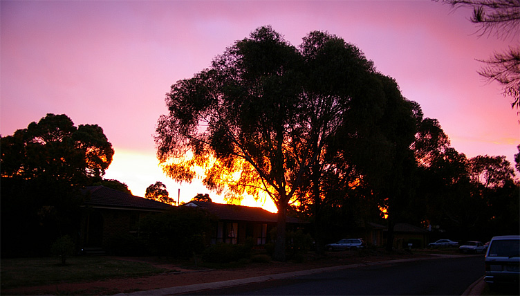 [Image: Sunset-from-front-yard.jpg]