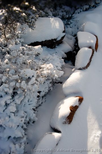 [Image: Tasmania%20-%20Snow%20on%20Mt%20Wellington.jpg]