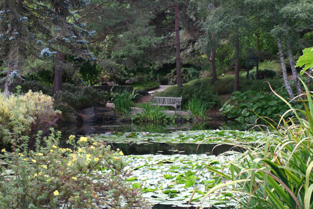 [Image: Vandusen-Botanical-Garden-6.jpg]