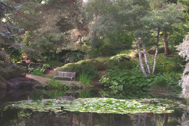 [Image: Vandusen-Botanical-Garden7.jpg]