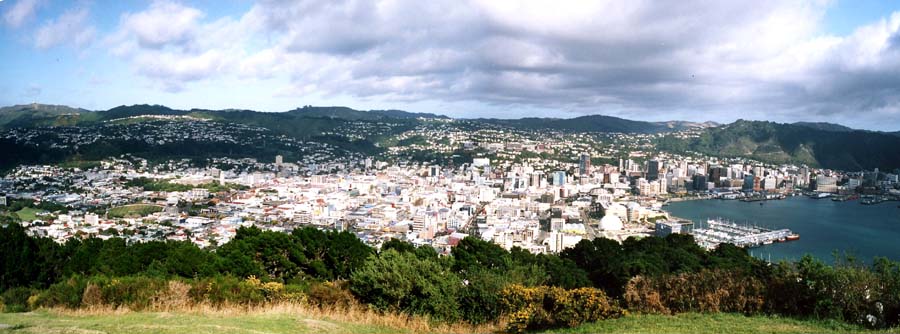 [Image: Wellington-small.jpg]