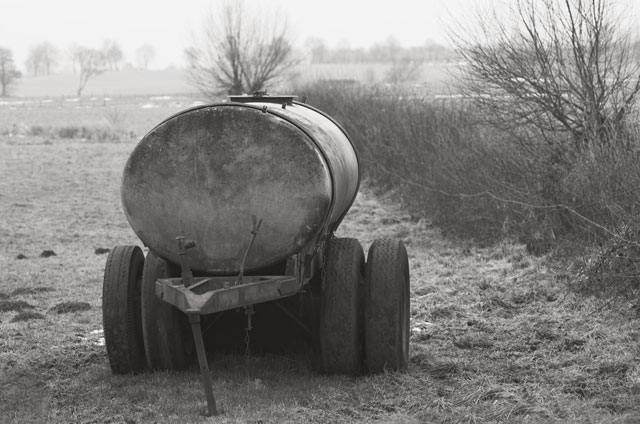 [Image: _DSC5616-01feeder.jpg]