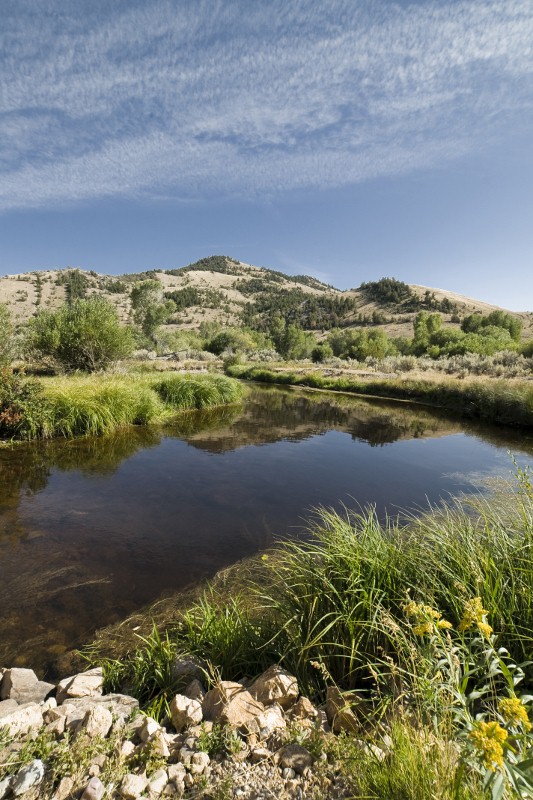 [Image: beaverhead%20river%20(533x800).jpg]