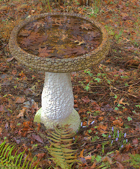 [Image: birdbath2SM.jpg]