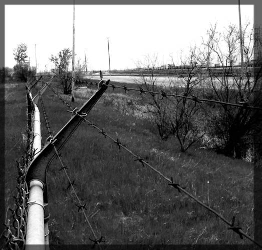 [Image: cnrailfenceSM.jpg]