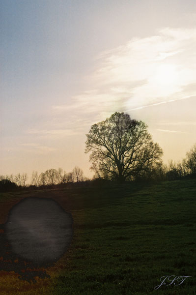 [Image: colortreeweb.jpg]