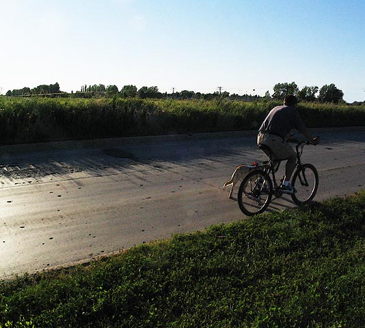 [Image: cyclistSM.jpg]