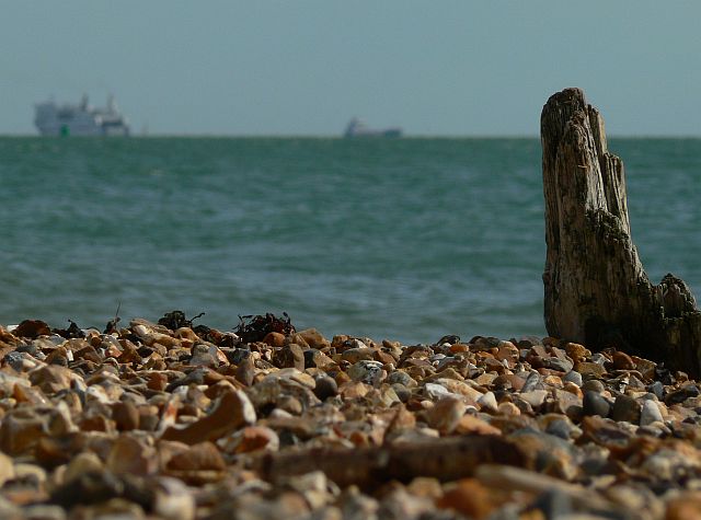 [Image: dof1.jpg]