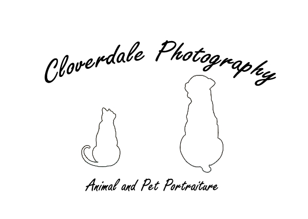 [Image: dog-and-cat-logo-CP.jpg]