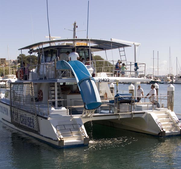[Image: dolphinboat.jpg]