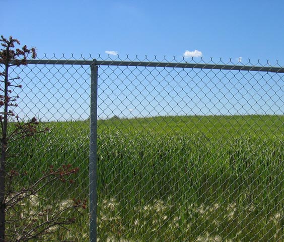 [Image: dontfenceme2SM.jpg]