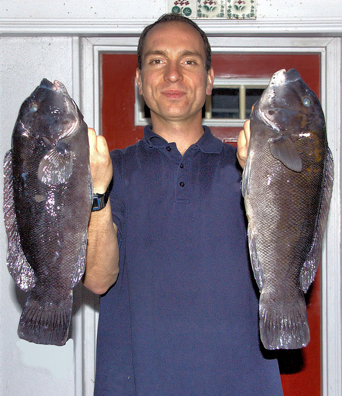 [Image: fisherman2SM.jpg]