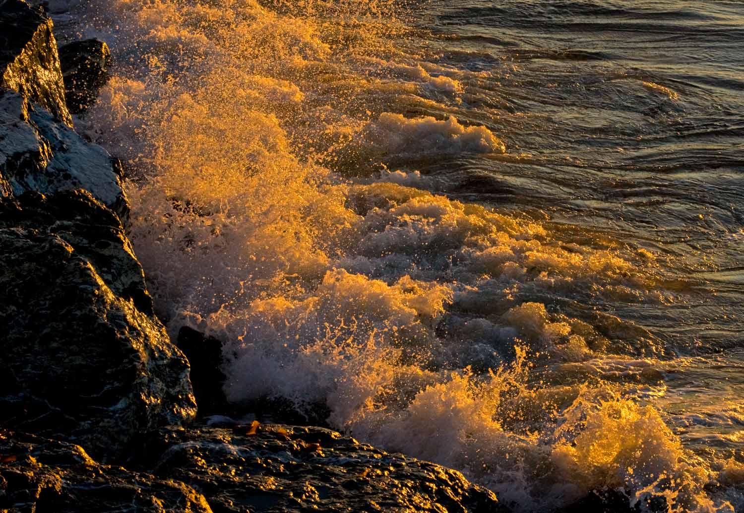 [Image: froz-topdown-gaspesie-Aug-2008_DSC7725.jpg]