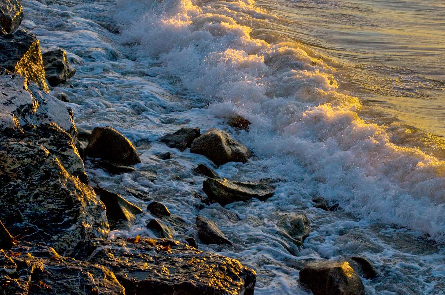 [Image: frozen--wave-gaspesie-Aug--2008_DSC7733.jpg]