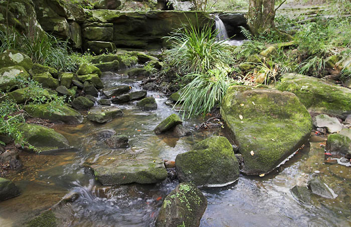 [Image: glenrock1%20sml.jpg]