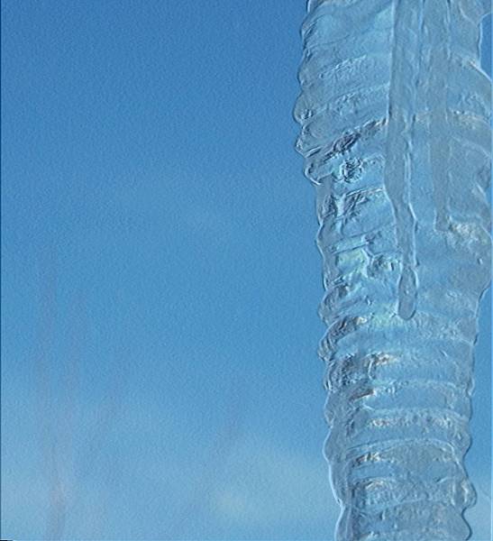 [Image: icicle2SM.jpg]