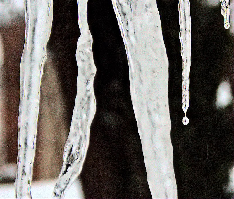 [Image: icicles2SM.jpg]