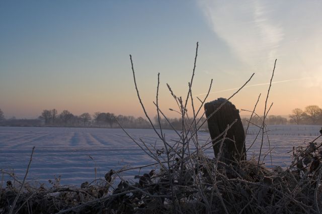 [Image: img_0635-01.jpg]