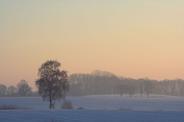 [Image: img_0639-01.jpg]