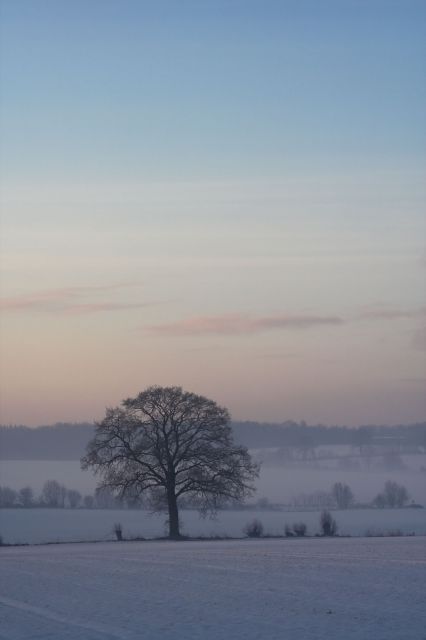 [Image: img_0647-01.jpg]