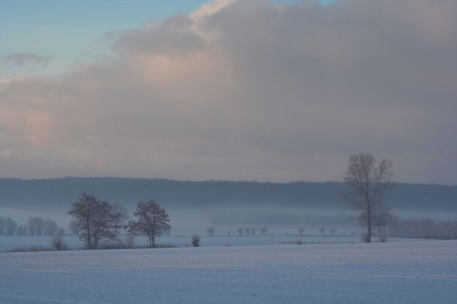 [Image: img_0654-01.jpg]
