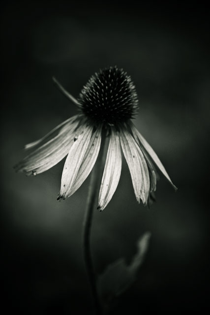 [Image: img_0745-Edit.jpg]
