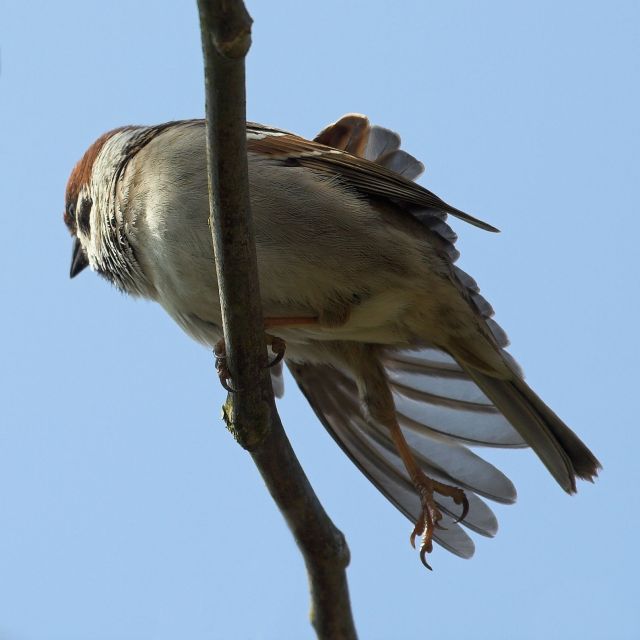[Image: img_2839-01.jpg]