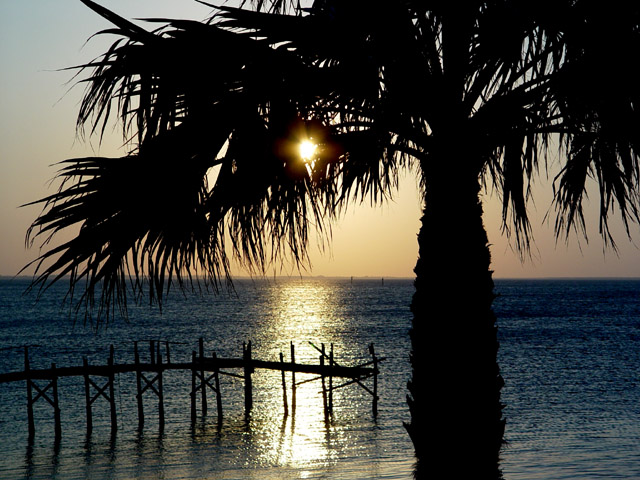 [Image: kak.settingsunpalm.jpg]