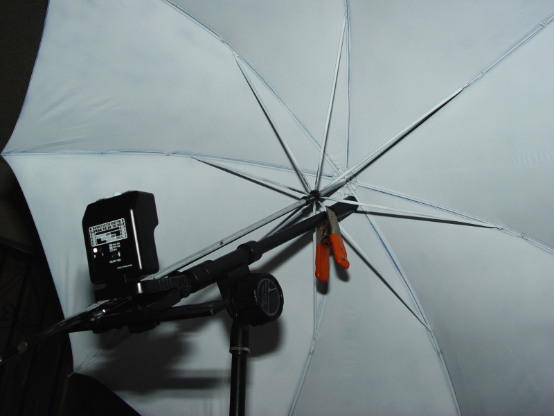 [Image: kak.umbrella1.jpg]