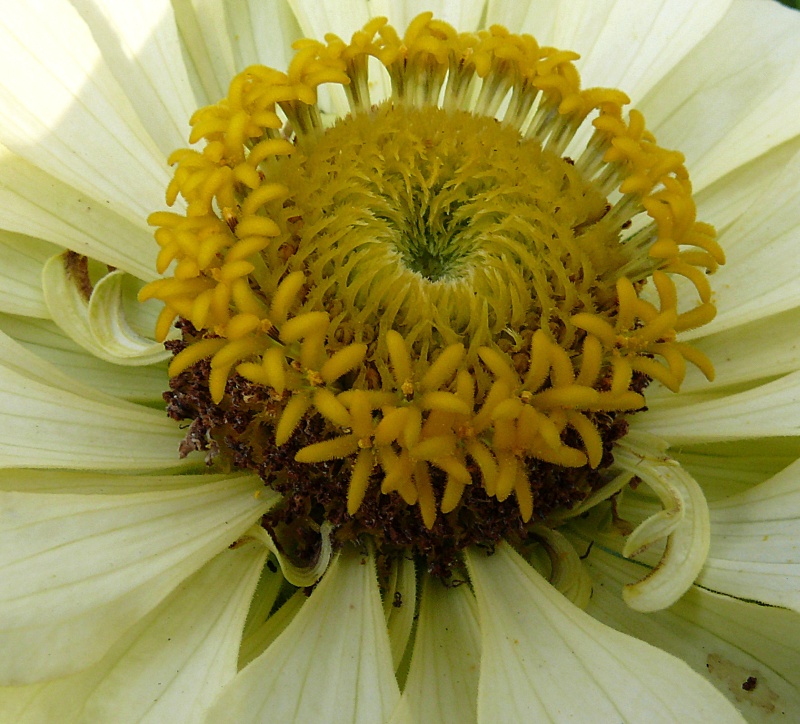 [Image: leica%20test%20029.jpg]