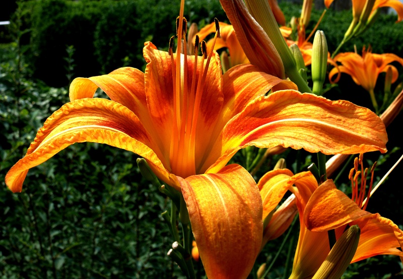 [Image: leica%20test%20039.jpg]