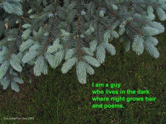 [Image: livesindarkSM.jpg]
