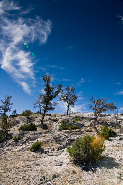 [Image: mammoth%20hot%20springs%20(17)%20(426x640).jpg]