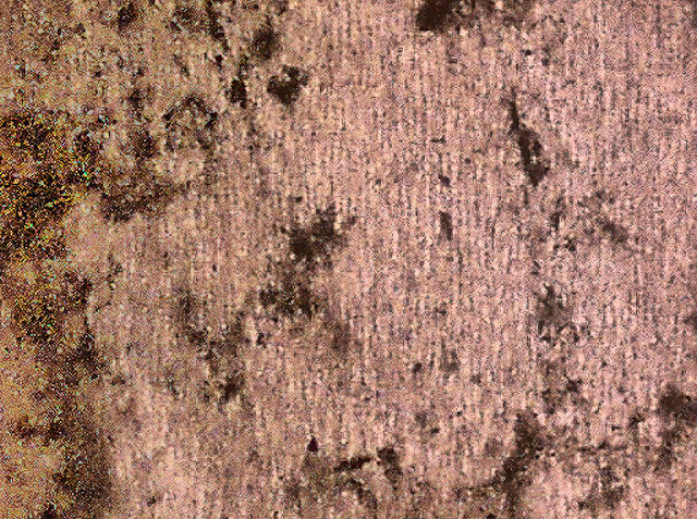 [Image: mantle00.jpg]