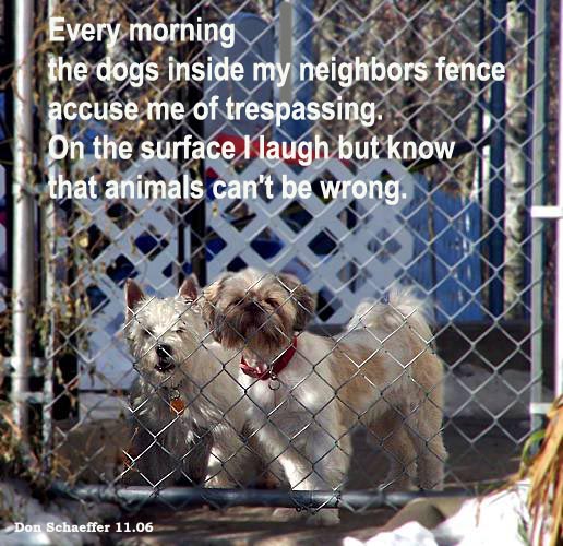 [Image: neighborsdogpmSM.jpg]