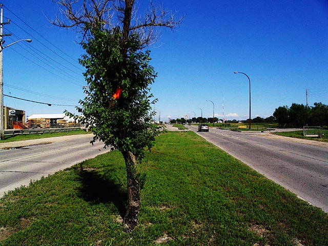 [Image: openroad2SM.jpg]