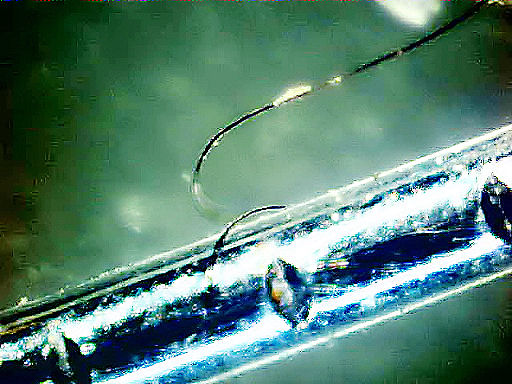 [Image: paperclip60x.jpg]