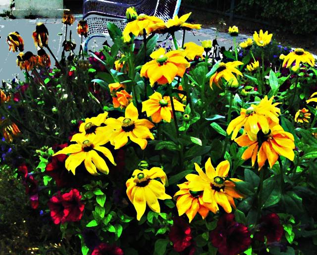 [Image: parkinlotflowers2aSM.jpg]