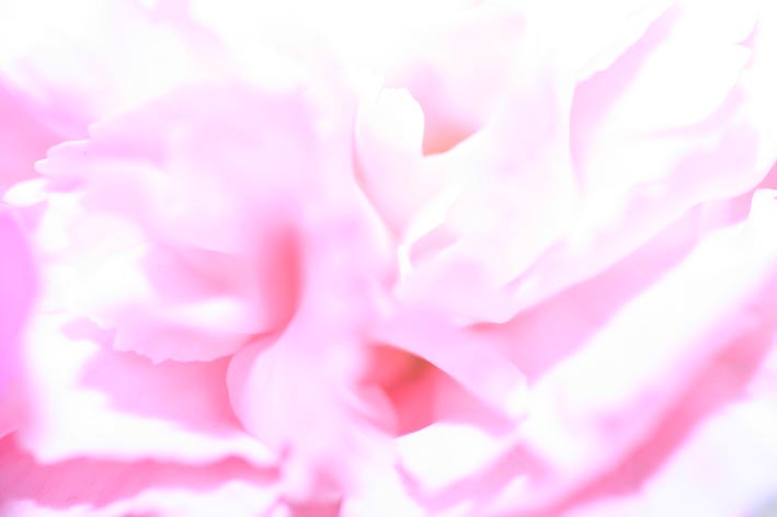 [Image: pink.jpg]