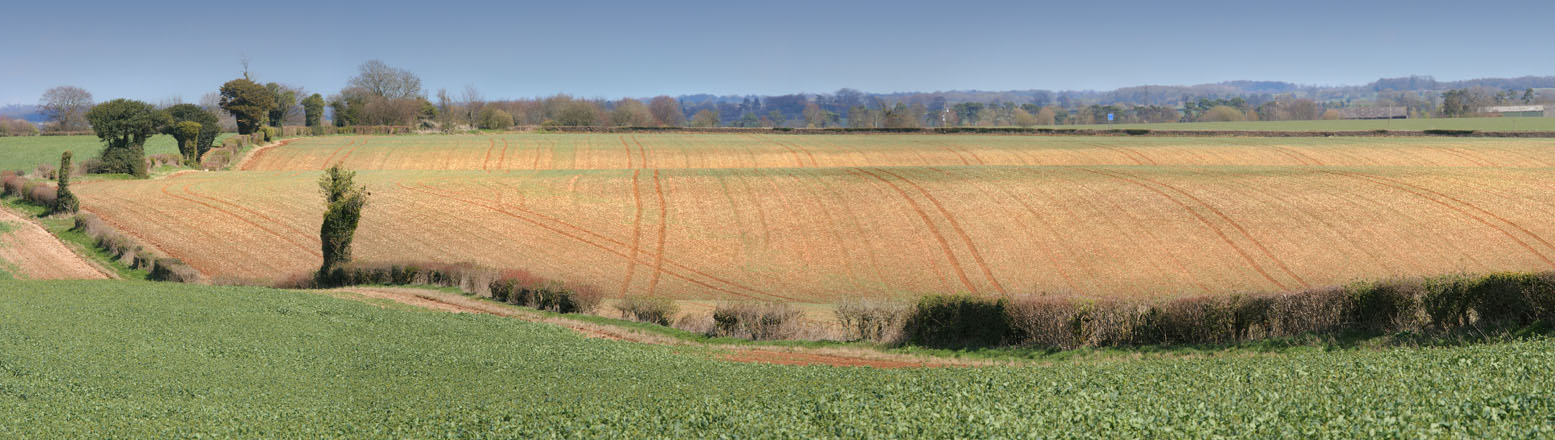 [Image: ploughcross200panoWEB.jpg]